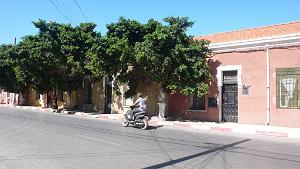 P1150668 Ain El Turk